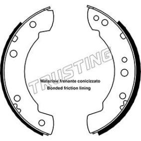 Bremsbackensatz von TRUSTING