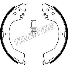 Bremsbackensatz 064.171 von TRUSTING günstig für 96,49 € online kaufen