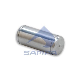 Bremsbackenbolzen 075.056 RENAULT TRUCKS von SAMPA