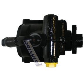 Servopumpe 07B421ST von SERCORE günstig für 156,31 € online kaufen