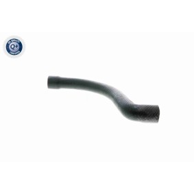 Acquista Rullo tenditore, cinghia dentata da VAICO online per DYNA Pick-up a prezzi moderati