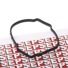 Osta EPS Termostaatin tiiviste netistä X6 (E71, E72)-mallille edulliseen hintaan