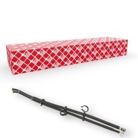Köp Tryckslang, trycksensor (sot- / partikelfilter) av FEBI BILSTEIN 100769 till det låga priset 1304,12 kr