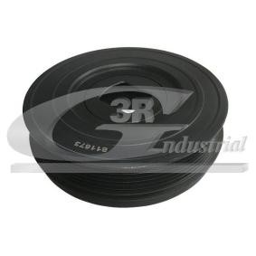 Riemenscheibe, Kurbelwelle 10666 von 3RG günstig für 116,01 € online kaufen