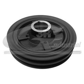 Achetez des Poulie damper (vilebrequin) 3RG 10803 à prix pour 97,56 €