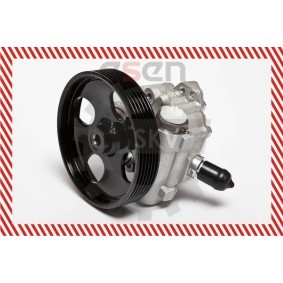 Servopumpe 10SKV023 von ESEN SKV günstig für 155,90 € online kaufen