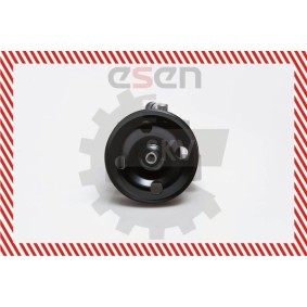 Acquista Pompa idraulica, sterzo da ESEN SKV 10SKV091 a buon mercato per soli 206,05 €
