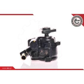 Compre Bomba de dirección de ESEN SKV online para Escort Mk6 Cabrio (ALL) a precios moderados