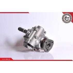 Servopumpe 10SKV152 von ESEN SKV günstig für 111,14 € online kaufen