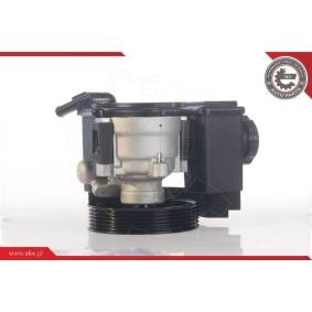 Servopumpe 10SKV171 von ESEN SKV günstig für 183,04 € online kaufen