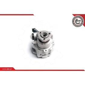 Servopumpe 10SKV173 von ESEN SKV günstig für 135,46 € online kaufen