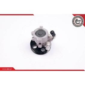 Servopumpe 10SKV174 von ESEN SKV günstig für 144,93 € online kaufen