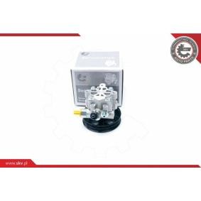 Comprar Bomba de dirección de ESEN SKV 10SKV195 a bajo precio de 159,49 €