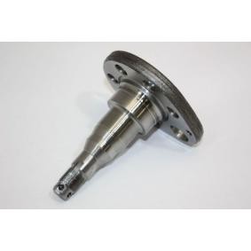Comprar Muñón de eje, cuerpo del eje de AUTOMEGA 110043510 a bajo precio de 15,48 €