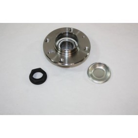 Comprar Suspensión, Brazo oscilante de AUTOMEGA 110087710 a bajo precio de 5,94 €