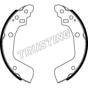 Bremsbackensatz von TRUSTING