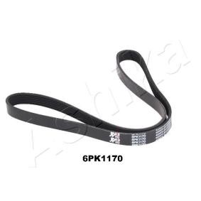 Keilrippenriemen 112-6PK1170 von ASHIKA günstig für 14,31 € online kaufen