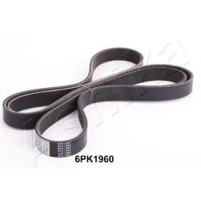 Compre Correia trapezoidal estriada da ASHIKA 112-6PK1960 a um preço baixo por 17,54 €