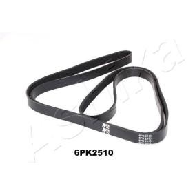 Keilrippenriemen 112-6PK2510 von ASHIKA günstig für 26,50 € online kaufen