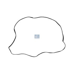Frontscheibendichtung 12.81900 von DT Spare Parts günstig für 24,46 € online kaufen