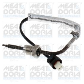 Acquista Sensore, Temperatura gas scarico da MEAT & DORIA 12058 a buon mercato per soli 129,97 €