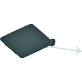 Klappe, Abschlepphaken 1225061 von DIEDERICHS günstig für 15,49 € online kaufen