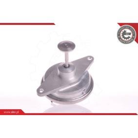 Compre Válvula EGR da ESEN SKV 14SKV022 a um preço baixo por 47,50 €