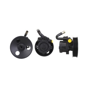 Achetez des Pompe de direction assistée ELSTOCK 15-1430 à prix pour 171,48 €
