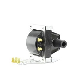 Zündspule 155341 von EFI AUTOMOTIVE günstig für 178,89 € online kaufen