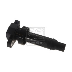 Acquista Bobina d'accensione da EFI AUTOMOTIVE 155384 a buon mercato per soli 79,39 €