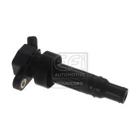 Acquista Bobina d'accensione da EFI AUTOMOTIVE 155458 a buon mercato per soli 70,71 €