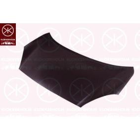 Motorhaube 1610280A1 von KLOKKERHOLM günstig für 209,77 € online kaufen