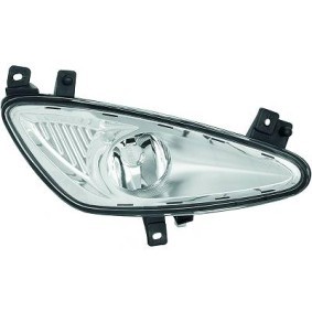 Nebelscheinwerfer 1647088 von DIEDERICHS günstig für 95,32 € online kaufen