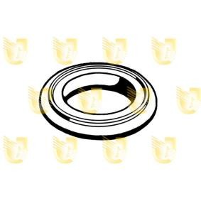 Compre Anel de fixação, silenciador da UNIGOM 166010 a um preço baixo por 1,95 €