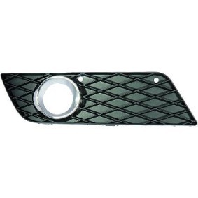Lüftungsgitter, Stoßfänger 1681248 von DIEDERICHS günstig für 24,52 € online kaufen