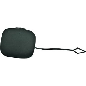 Klappe, Abschlepphaken 1682066 von DIEDERICHS günstig für 26,14 € online kaufen