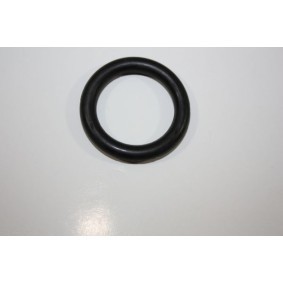 Kraftstofffilter 180015610 von AUTOMEGA günstig für 20,80 € online kaufen