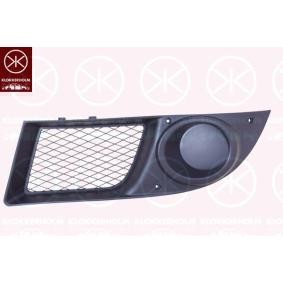 Lüftungsgitter, Stoßfänger 2042911A1 von KLOKKERHOLM günstig für 31,65 € online kaufen