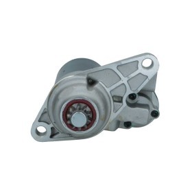 Lichtmaschine von BV PSH