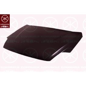 Motorhaube 2556281A1 von KLOKKERHOLM günstig für 208,40 € online kaufen