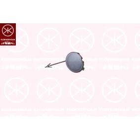 Klappe, Abschlepphaken 2556917A1 von KLOKKERHOLM günstig für 21,37 € online kaufen