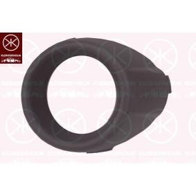 Gehäuse, Nebelscheinwerfer 2565911A1 von KLOKKERHOLM günstig für 9,86 € online kaufen
