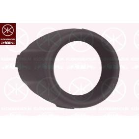 Gehäuse, Nebelscheinwerfer 2565912A1 von KLOKKERHOLM günstig für 14,35 € online kaufen