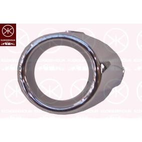 Gehäuse, Nebelscheinwerfer 2565913A1 von KLOKKERHOLM günstig für 22,98 € online kaufen