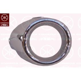 Gehäuse, Nebelscheinwerfer 2565914A1 von KLOKKERHOLM günstig für 26,61 € online kaufen