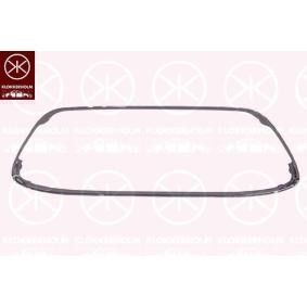 Zierleiste, Stoßstange 2565920A1 von KLOKKERHOLM günstig für 126,64 € online kaufen