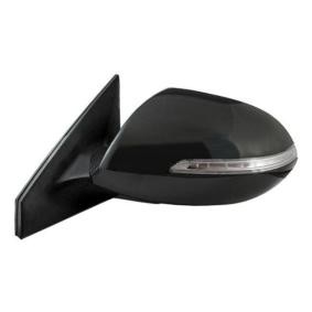 Außenspiegel 27900913 von IPARLUX günstig für 162,15 € online kaufen