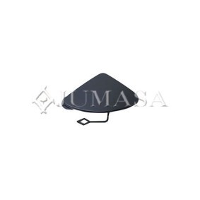 Klappe, Abschlepphaken 28030548 von JUMASA günstig für 31,44 € online kaufen