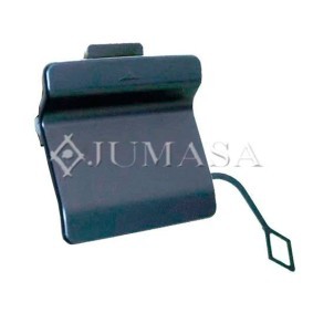 Klappe, Abschlepphaken 28040543 von JUMASA günstig für 31,44 € online kaufen