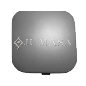 Klappe, Abschlepphaken 28041563 von JUMASA günstig für 28,12 € online kaufen